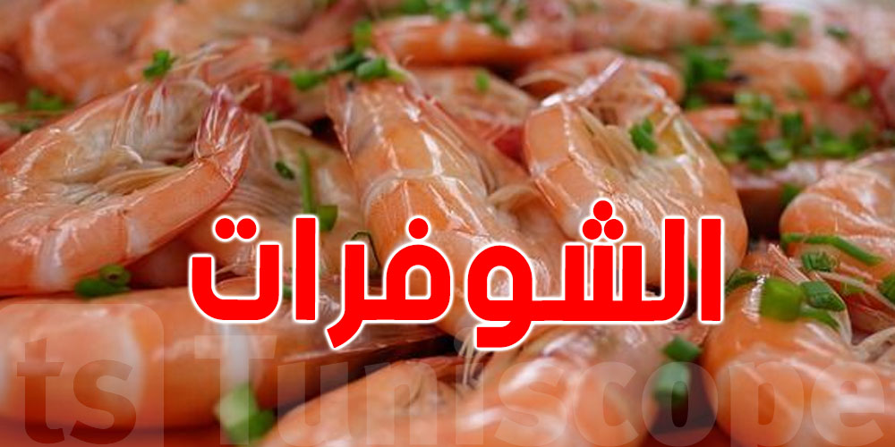 تشري ''الشوفرات ''؟ شوف كيفاش تحافظ عليه للرمضان !