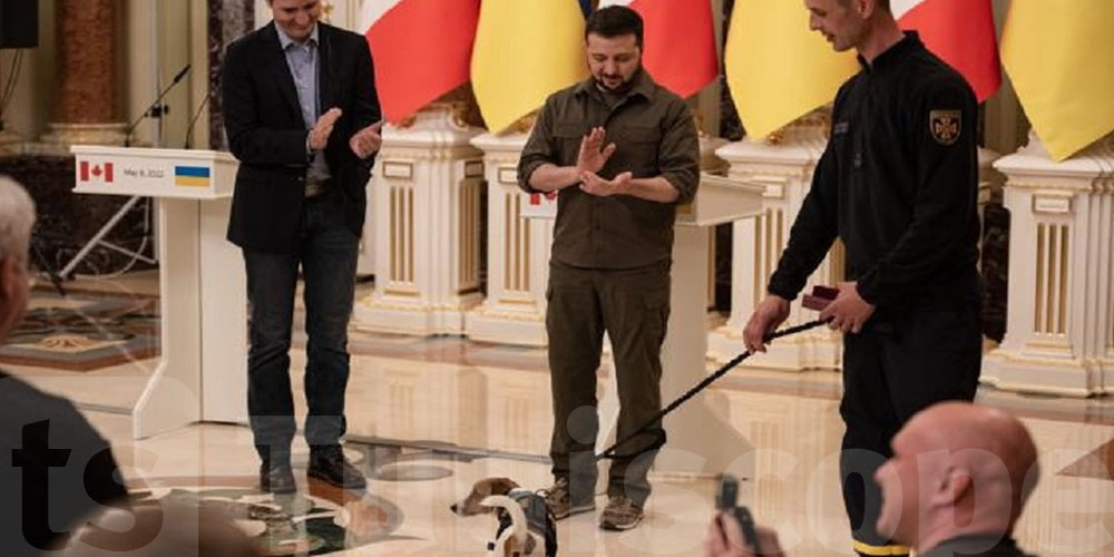 كلب أوكراني يهاجم رئيس وزراء كندا بحضور زيلينسكي! 
