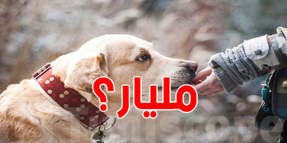 في تونس: شاب صرف ''مليار'' على كلابه...علاش؟
