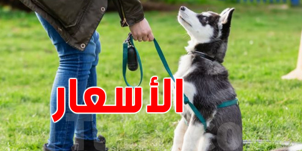 أسوام الكلاب في تونس