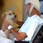 Pendant 8 jours, un chien attend son maître, blessé au visage, devant l'hôpital