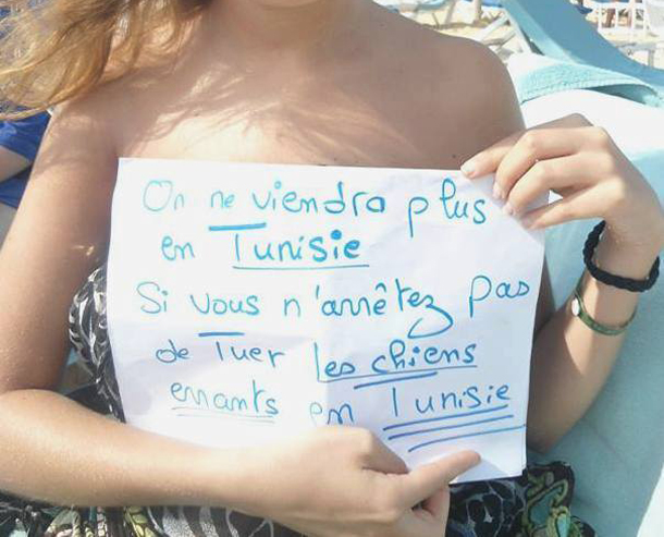 Campagne internationale : On ne viendra plus en Tunisie si vous n’arrêtez pas de tuer les chiens