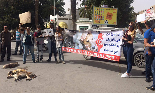 En photos : Manifestation contre l’abattage des chiens devant la résidence de l’Ambassadeur de France 