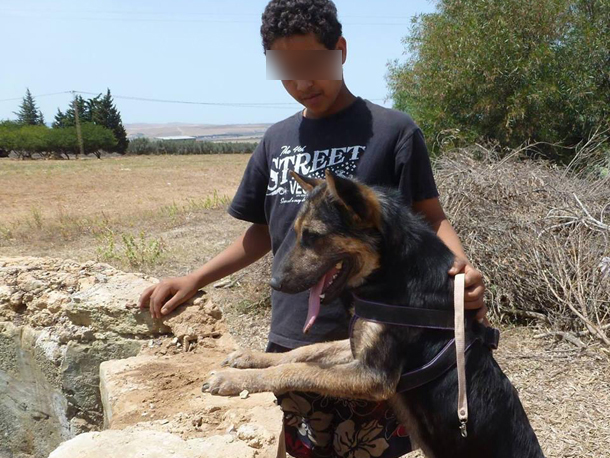 En photos : Quand une chienne errante sauve la vie de deux femmes à Bizerte...
