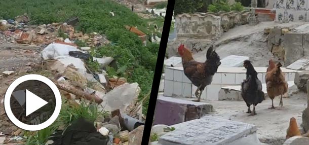 En vidéo : L’état déplorable des cimetières en Tunisie...