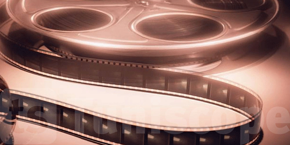 أعضاء جدد في لجنة التشجيع على الإنتاج السينمائي لـ2020