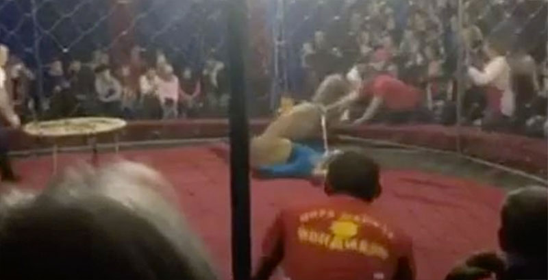 En vidéo : Une lionne lacère le visage d'une fillette dans un cirque en Russie 