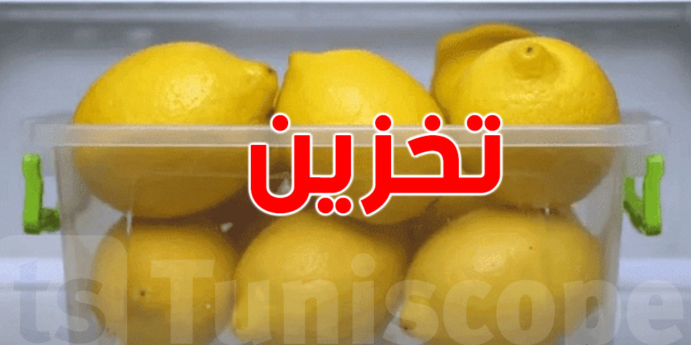 عندك قارص وتحب تخزنه: نصائح باش يبقى طازج وما يتعفّنش