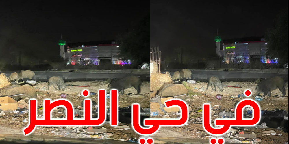 صور: برهان بسيس: الآن... الأصدقاء الخنازير في زيارة تفقد جماعي لحي النصر بالعاصمة