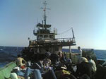 217 naufragés sauvés au large des côtes libyennes