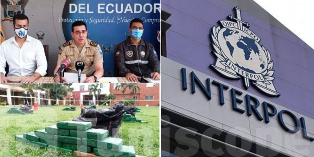 شحنة الكوكايين من الإكوادور: تونس تراسل الانتربول 