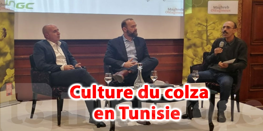 En vidéo: La Tunisie ambitionne d'atteindre une surface cultivée de 150.000 hectares de colza