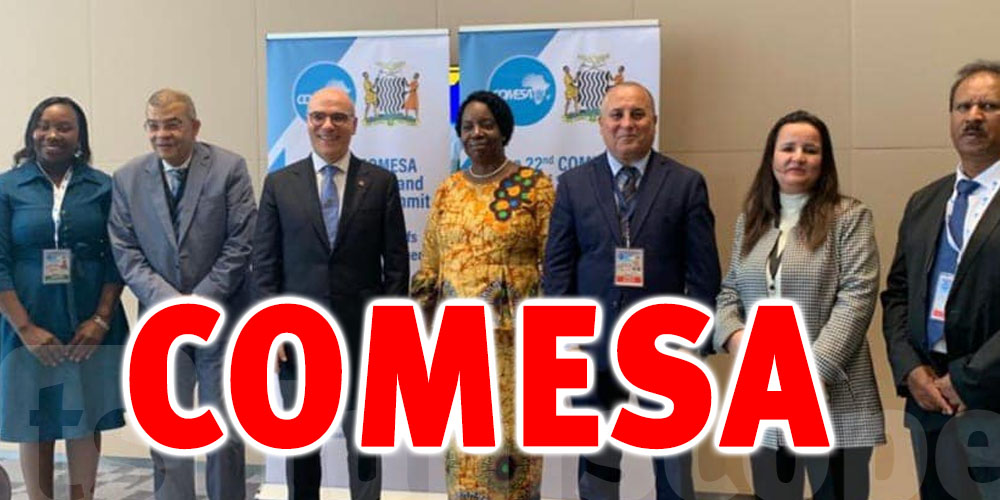 Nabil Ammar rencontre des partenaires internationaux lors du Sommet COMESA