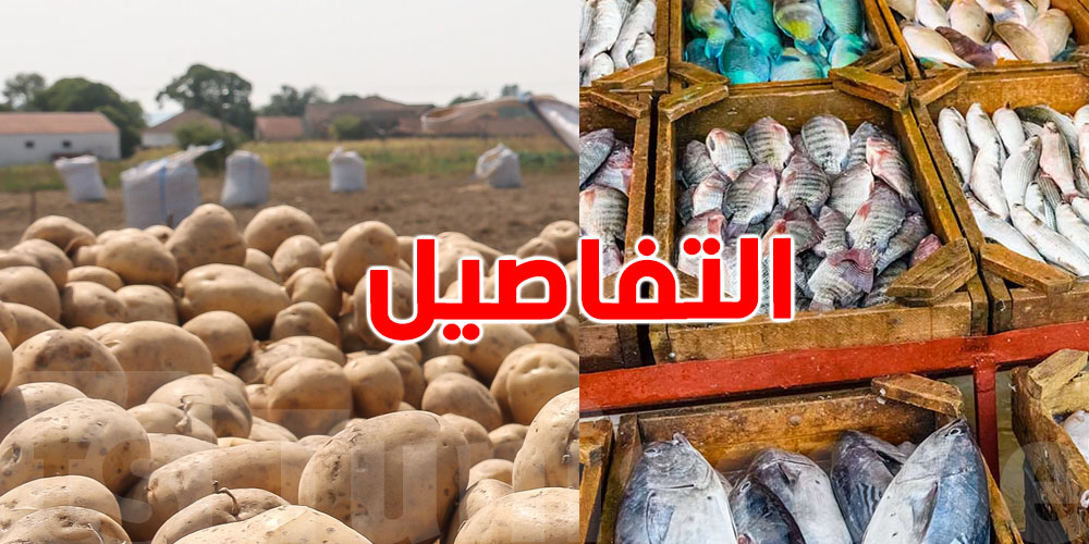 عاجل: الدولة تضبط أسعار البطاطا والحوت.. شوف السوم الجديد