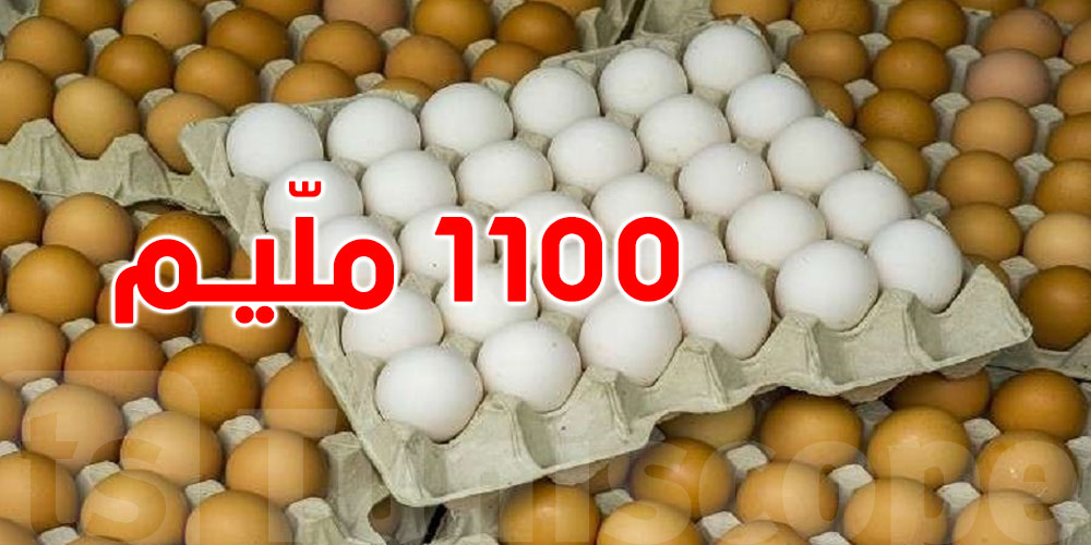 وزارة التجارة: هكذا تم تحديد سعر ''حارّة العظم'' بـ1100 مليم