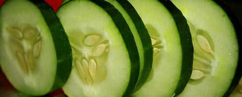 concombre-18052012-1.jpg