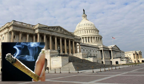 توزيع ''الزطلة'' مجانا قرب مبنى الكونغرس لحث النواب على تشريعها!