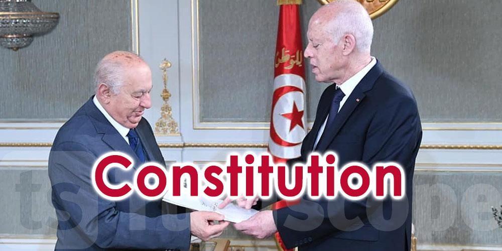 En vidéo: Le draft de la constitution remis au président Saïed
