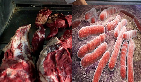 Saisie de 115 kg de viande rouge tuberculeuse à Moknine