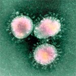 Mesures de veille sanitaire en Tunisie suite à des cas d'infection par le coronavirus à l’étranger