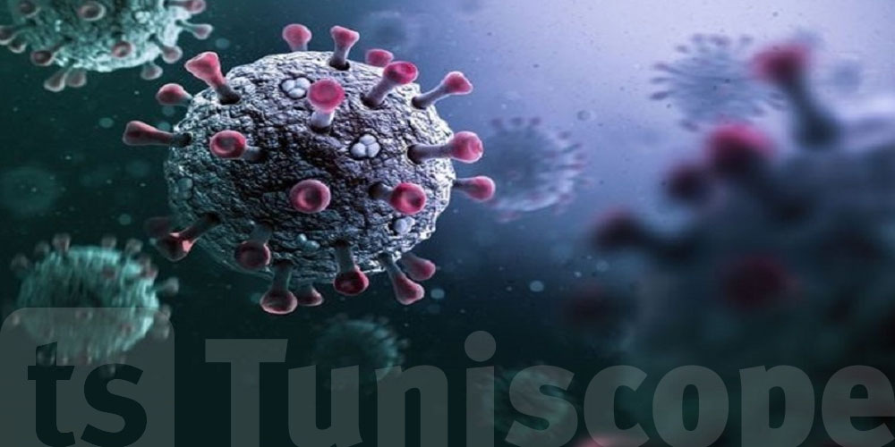  دراسة تكشف مفاجأة في أصول الأوبئة