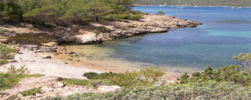 cote-050314-1.gif