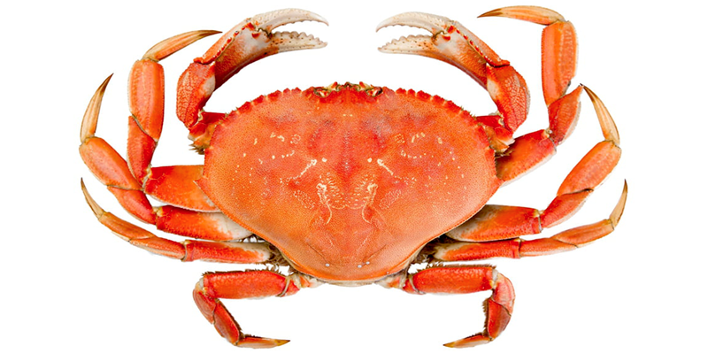 6,2 millions de dinars recette des exportations des crabes congelés