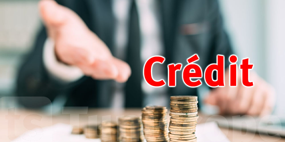 La Tunisie fixe un plafond pour les taux d’intérêt des micro-crédits : qu’est-ce que cela signifie pour les citoyens ?