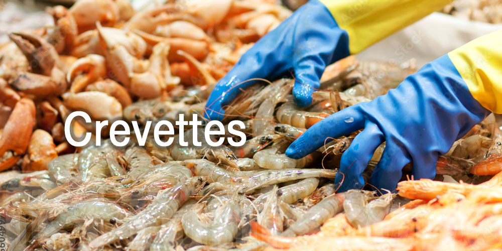 Crevettes fraîches ou avariées ? Les signes à connaître avant d’acheter