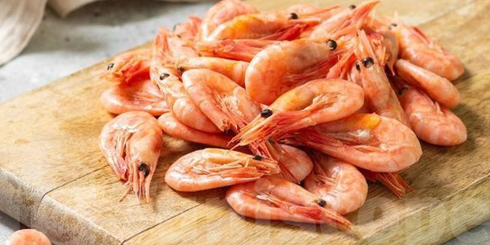 Crevettes en Tunisie : pourquoi les prix chutent-ils jusqu’à 8,800 dinars le kilo ?