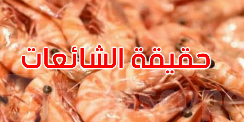 هل الكروفات الدخيلة في تونس خطيرة؟ جمعية علمية توضح حقيقة الشائعات