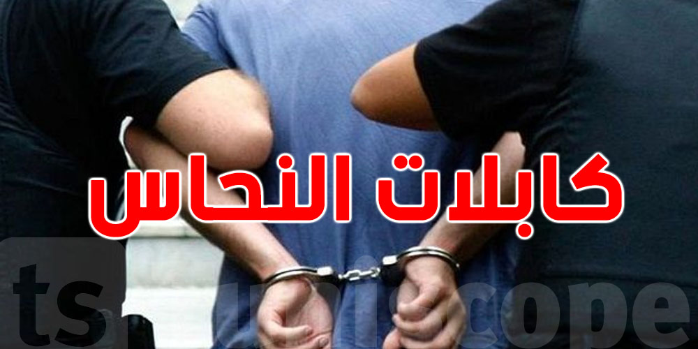 عاجل: سرقة النحاس تقوده الى السجن: 5 سنين بسبب كابلات الاتصالات