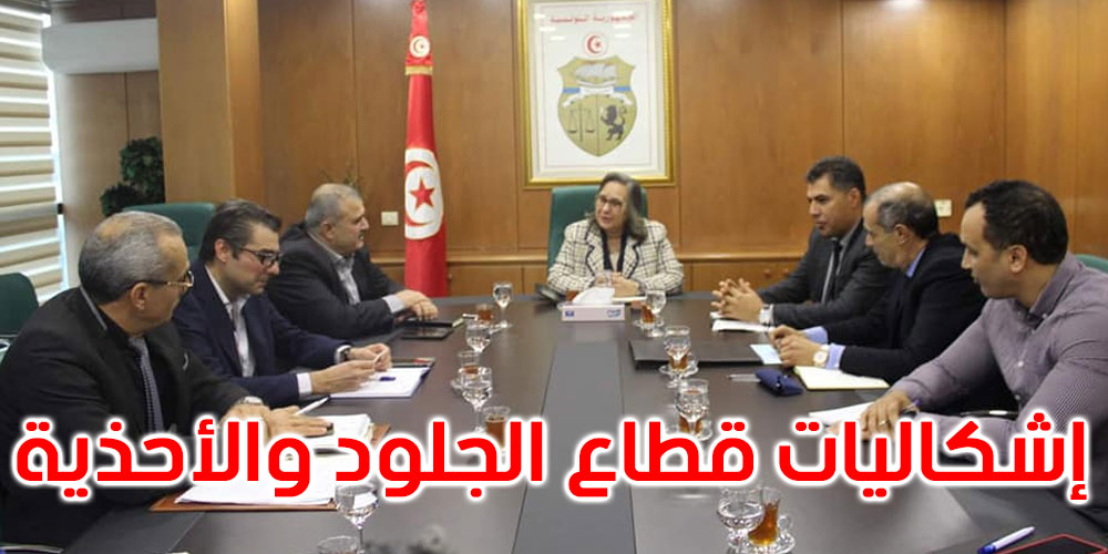 إشكاليات قطاع الجلود والأحذية محور لقاء وزيرة الصناعة بعدد من المهنيين