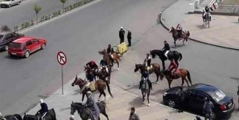 حقيقة ''اللجوء إلى الخيول'' في دمشق وسط أزمة الوقود