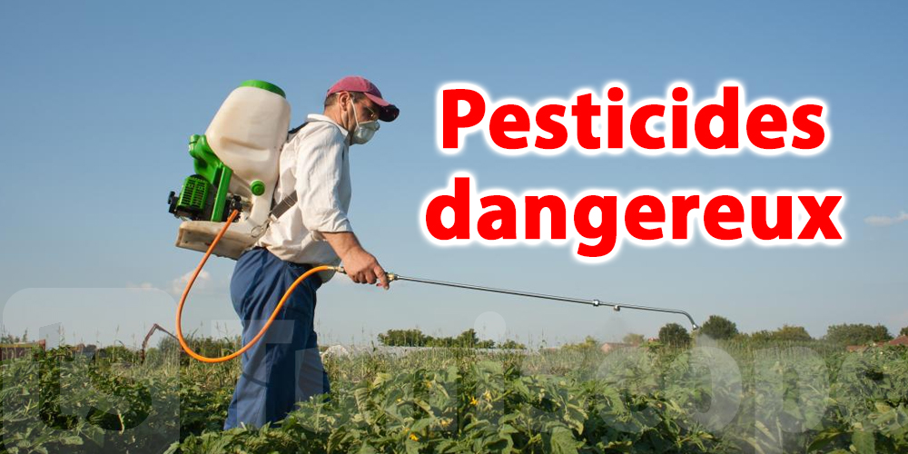 Pesticides agricoles : un expert alerte sur les risques pour la santé
