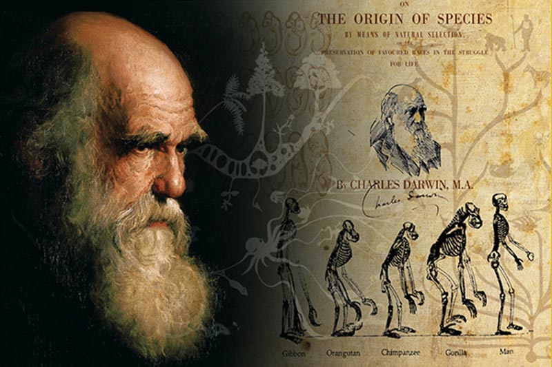 وزير التعليم: نظرية داروين أسطورة لا نقبلها
