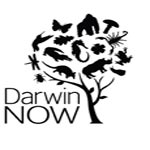 Darwin Now, le 1er novembre à la Cité des sciences 