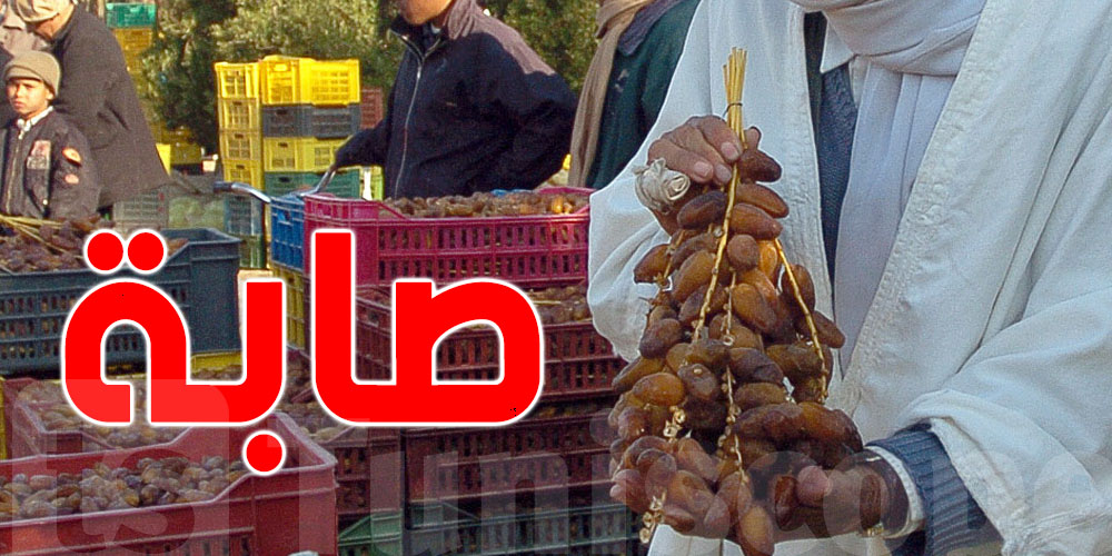 قبلي تفاجئ التوانسة بصابة'' دقلة بيوّ'' قياسية هذا الموسم