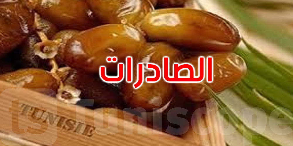 التمور التونسية تعزز حضورها عالمياً: ارتفاع الصادرات إلى 99 ألف طن