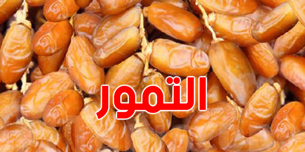نحو صابة قياسية للتمور في تونس 