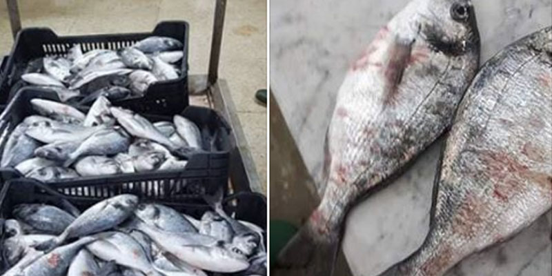 Poissons infectés, les précisions du ministère de la Santé
