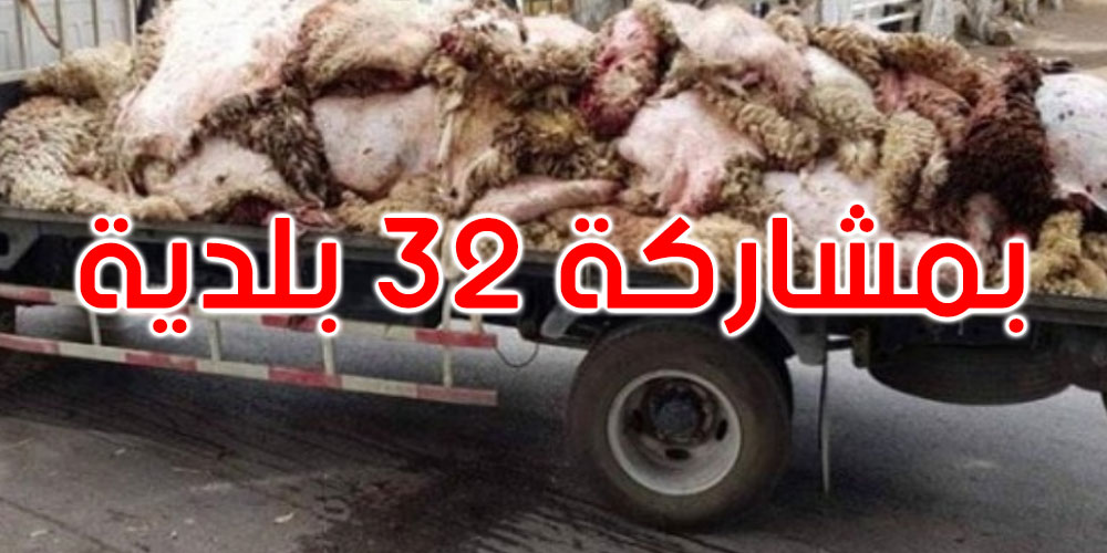 غدا: انطلاق الحملة الوطنية لتثمين جلود أضاحي العيد