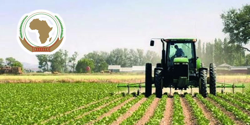 La Tunisie remporte le prix Déclaration de Malabo de l'agriculture pour 2020