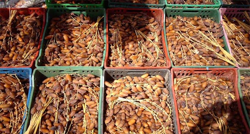 حجز 20 طنا من التفاح وأكثر من 20 طنا من الدقلة