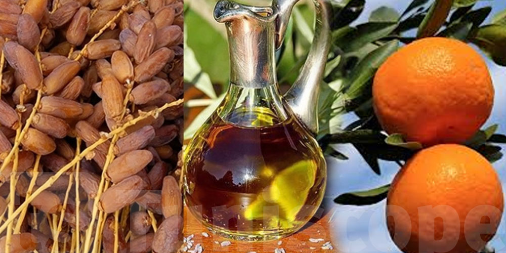 صابة ما صارتش في الزيتون والتمور والقوارص... ووزارة التجارة تخطّط للترويج