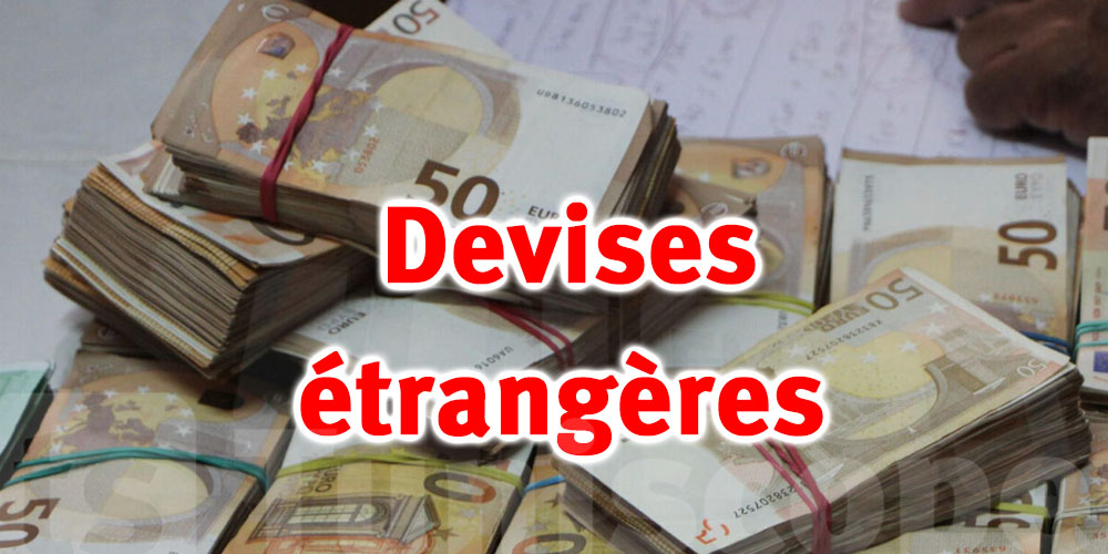 Déclaration de devises : ce que tout voyageur doit savoir, selon la Douane tunisienne