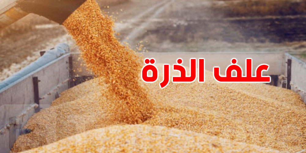 تونس تطرح مناقصة لشراء علف الذرة… والأسعار تحت المجهر