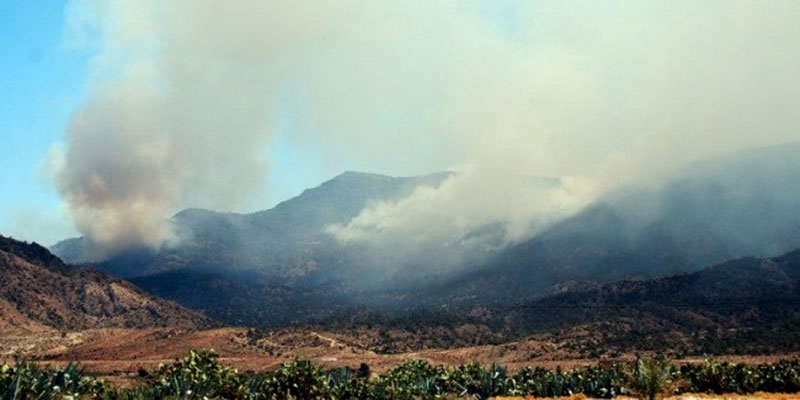 Un grand incendie ravage le Djebel Chaambi 