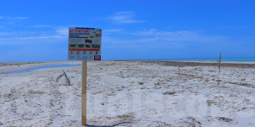Djerba : Protection d’une zone de nidification des oiseaux au sein de la future AMCP de Ras R’mal