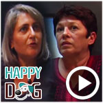 En vidéo-Happy Dog : Une association, une histoire d’amitié et beaucoup de respect pour les animaux 